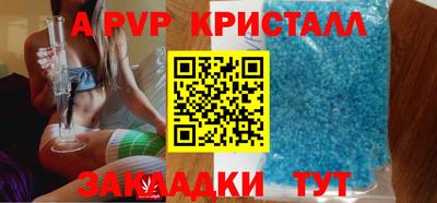 шишки Заволжье