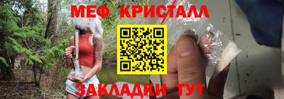 шишки Заволжье