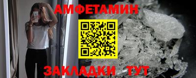 шишки Заволжье