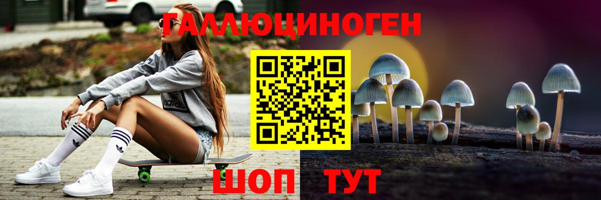Минусинск  Псилоцибиновые грибы мицелий  Вход с VPN 