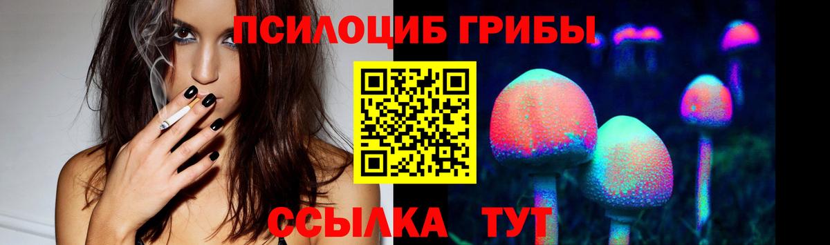 Псилоцибиновые грибы GOLDEN TEACHER Минусинск